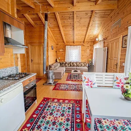 2br Amazing Garden&balcony House In Fethiye