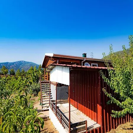 2br Amazing Garden&balcony House In *